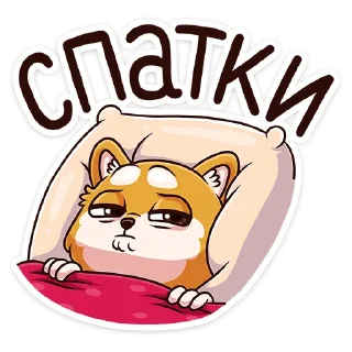 😴