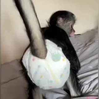 😝