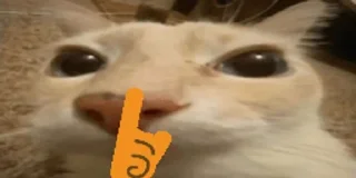 🤫