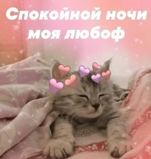 🧡