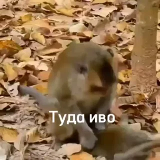 😏