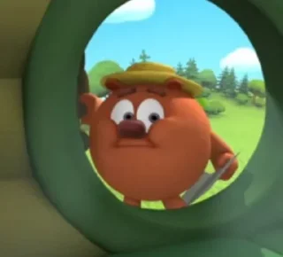 🐻