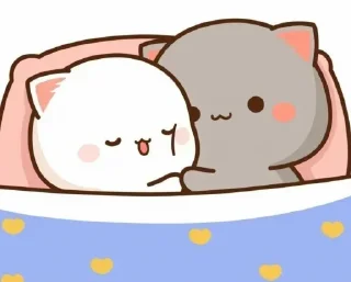 😴