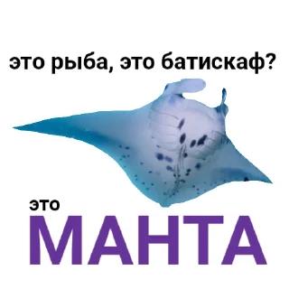 😇