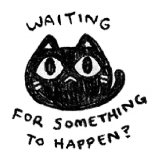 🐈