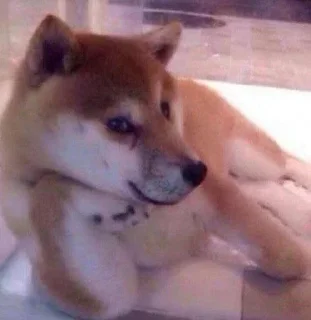 😋