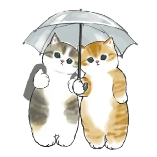 ☔️