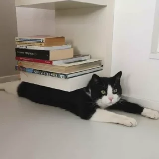 📚