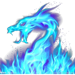 🐲