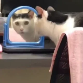 🌝