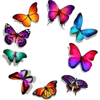 🦋