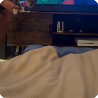 ☠️