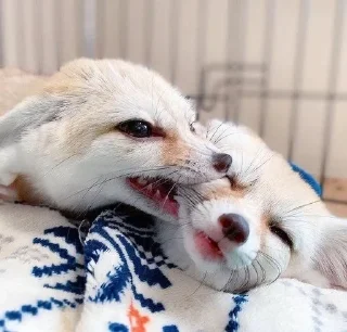 💞