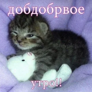 💤