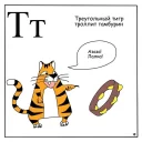 🐯