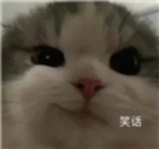 😲