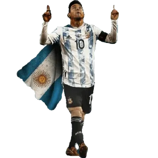🇦🇷