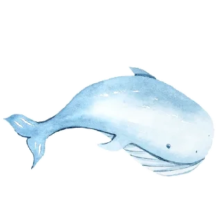 🐳