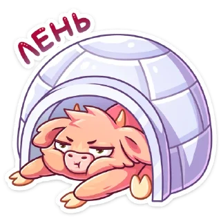 😴