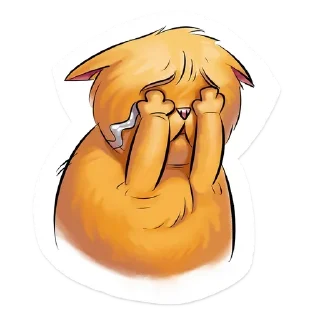 😾