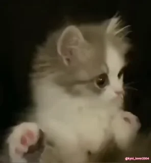 😳