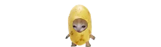 🥔