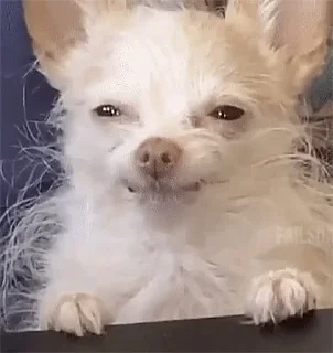 😏