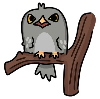 🦉