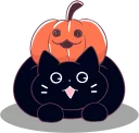 😺