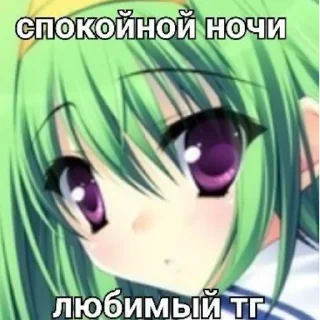 🌸