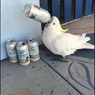 🍺
