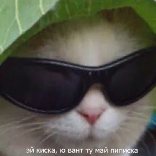 😎