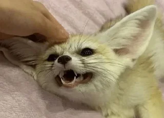 😃