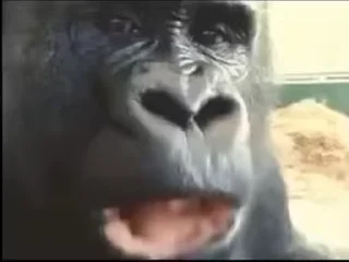 😯