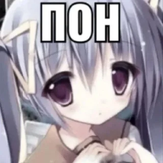 😼
