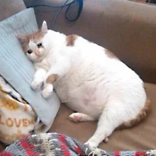 😓