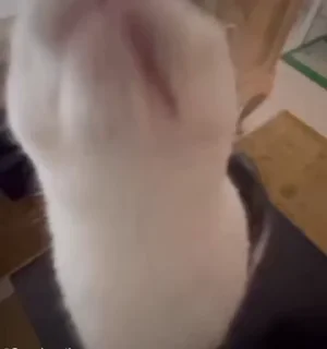 👀