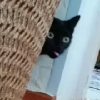 😱