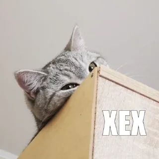 😀