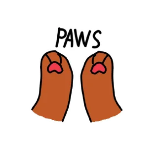 🐾