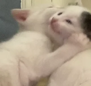 ❤️