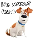 😲