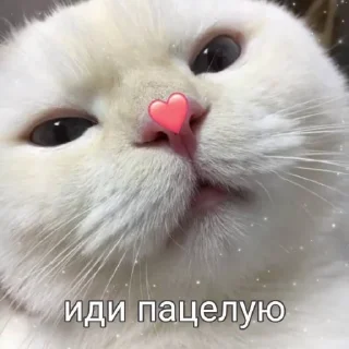 💋