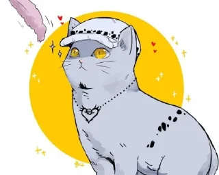 🐈‍⬛