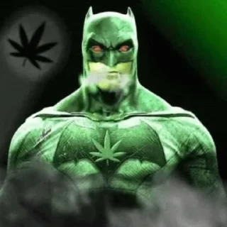 🌿