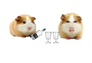 🐹