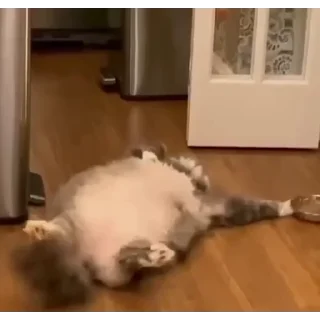 🍔
