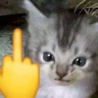 🖕