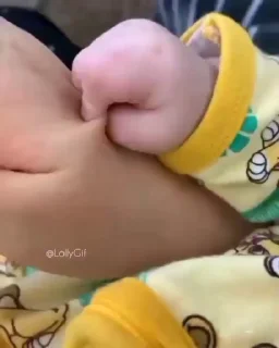 ✨