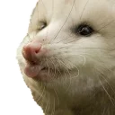 😙